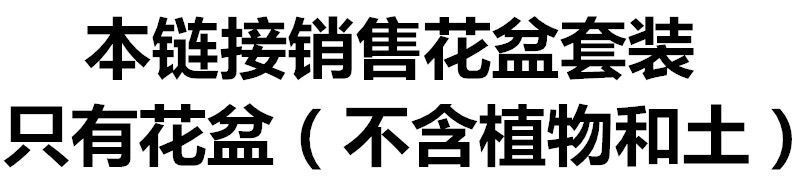 f845d6a5-9a3f-43a3-b130-0c3c9cf316fa.jpe