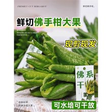 ���ָ��r������ˮ���k���҃��^�p�㎧֦ˮ�B����ֹ�����B�Gֲ