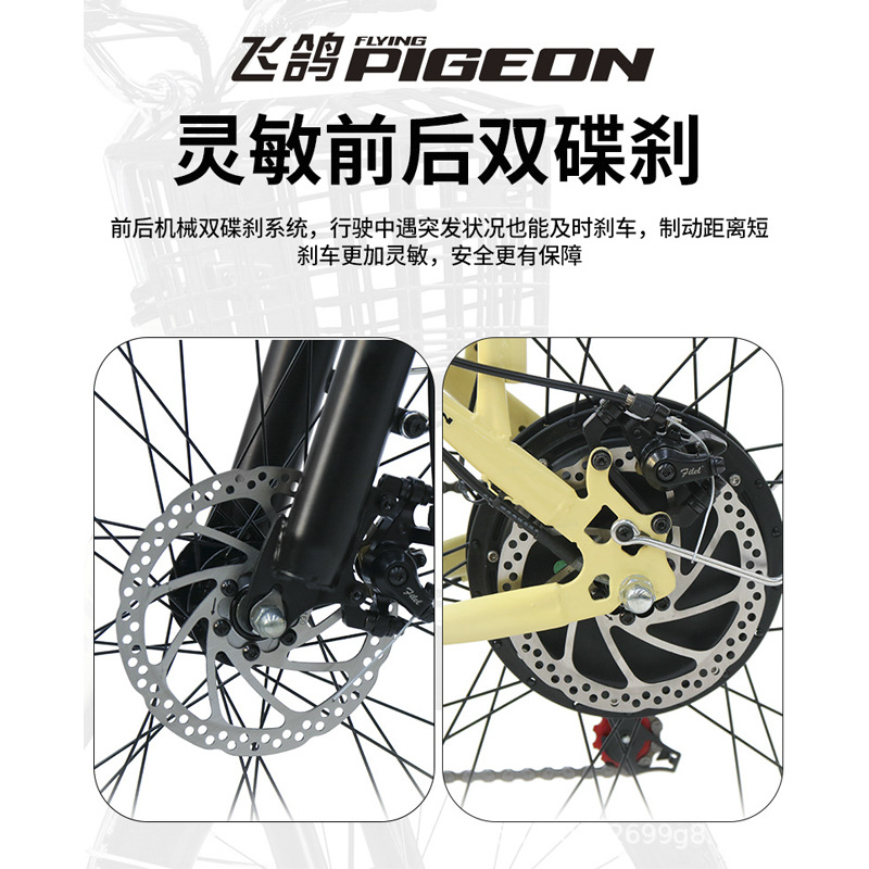Flying Pigeon Nuevo estándar nacional Batería de litio Bicicleta eléctrica para adultos, ligero, de velocidad variable, pedal de ocio, scooter para ancianos, coche de batería