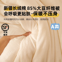 A类85%全棉大豆被春秋被学生宿舍被子被芯新疆棉面料冬被被芯批发