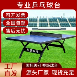 乒乓球台;乒乓球