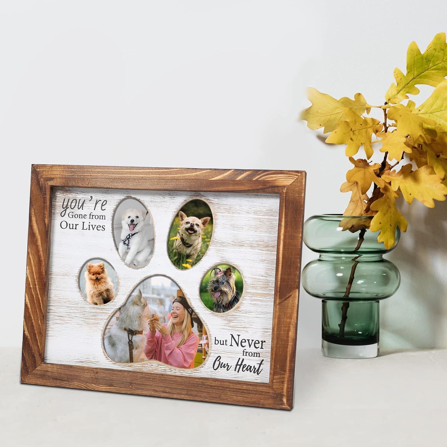 Registro de crecimiento de mascotas de madera marco de fotos conmemorativo decoración cachorro creativo conmemorativo marco de fotos bricolaje Decoración