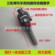 ��݆܇�����m�����������Ħ��܇�����Sʮ�ּ��f�򹝿��ɵ�������