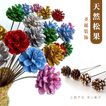 松果干花带杆摆件松塔圣诞节装饰客厅干果松果插花摆设拍摄道具