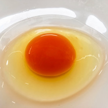 �����R���r���ظ����u����ɽ��̎ɢ�B������r�u���r��ι�B�u��