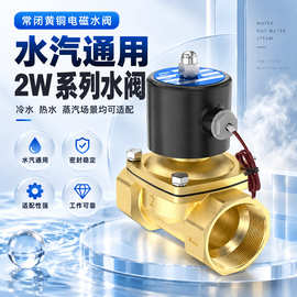 全铜常闭电磁阀水阀气阀2W系列4分6分1寸2寸AC220V24电子开关阀门