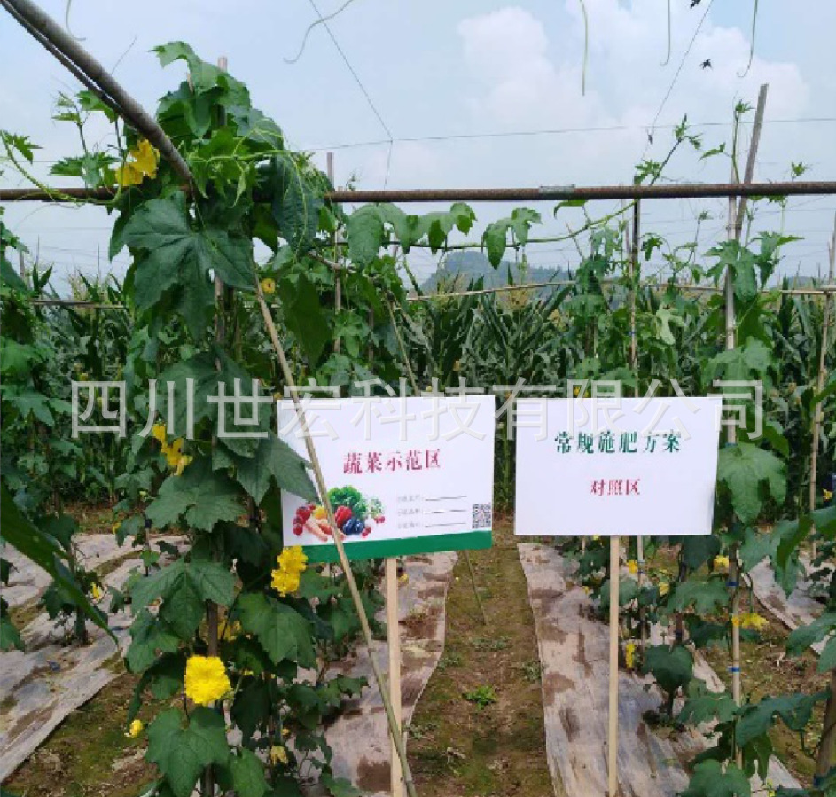 微信图片_20210115134238