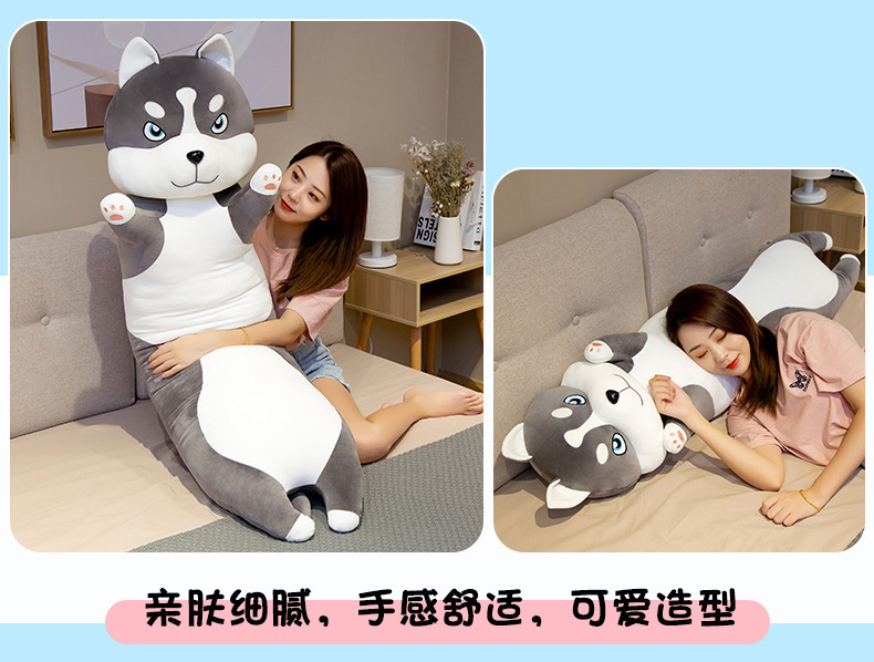 06-长条哈士奇抱枕+视频.jpg