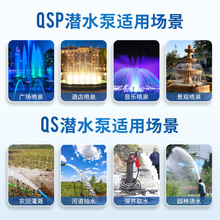 批发QSP喷泉景观专用泵304不锈钢三相潜水泵QS水浸式农田抽水排水