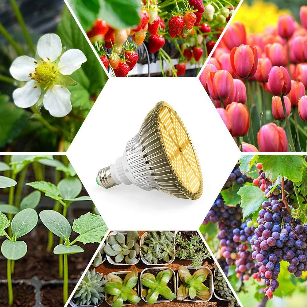 Lightweight plant lamp solar-powered, LED fill light, comfortable light spectrum