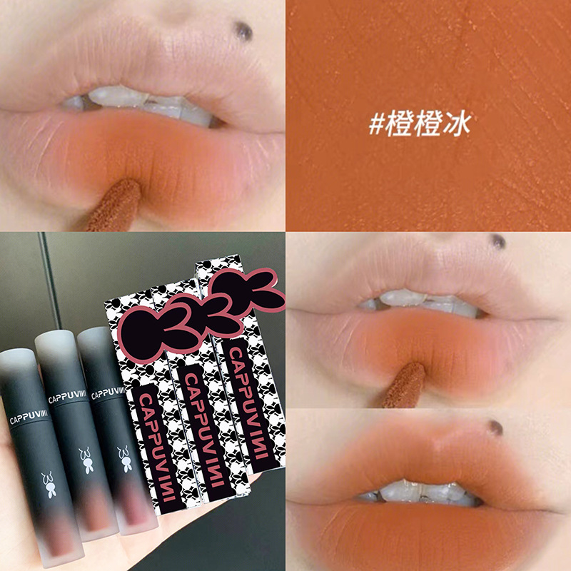 Cappuvini reversión macarón polvo de polvo labial, niebla de seda, esmalte labial, esmalte labial al por mayor.