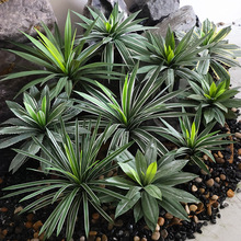 愦鄦mJCmFmᎧɳĮֲ쾰bGֲԔ[