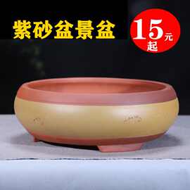 ✅紫砂花盆浅圆盆盆景盆多肉组合透气家用盆花卉绿植老桩盆陶瓷特