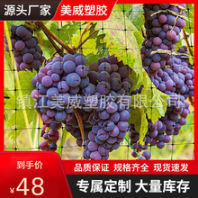 �S��ֱ�N8&times;100FT�B��/���B���o�W PE��ɫ�Ӻ�h�ʖř� ���@���@