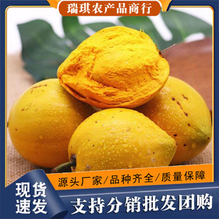 ����u�������r���ϵ��S��5������خa�Ꭷˮ���������䑪�����l