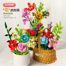 ���ݷeľ�������ƴ�bС�w���������õ�廨����Ů��ϵ�Д[���Y��