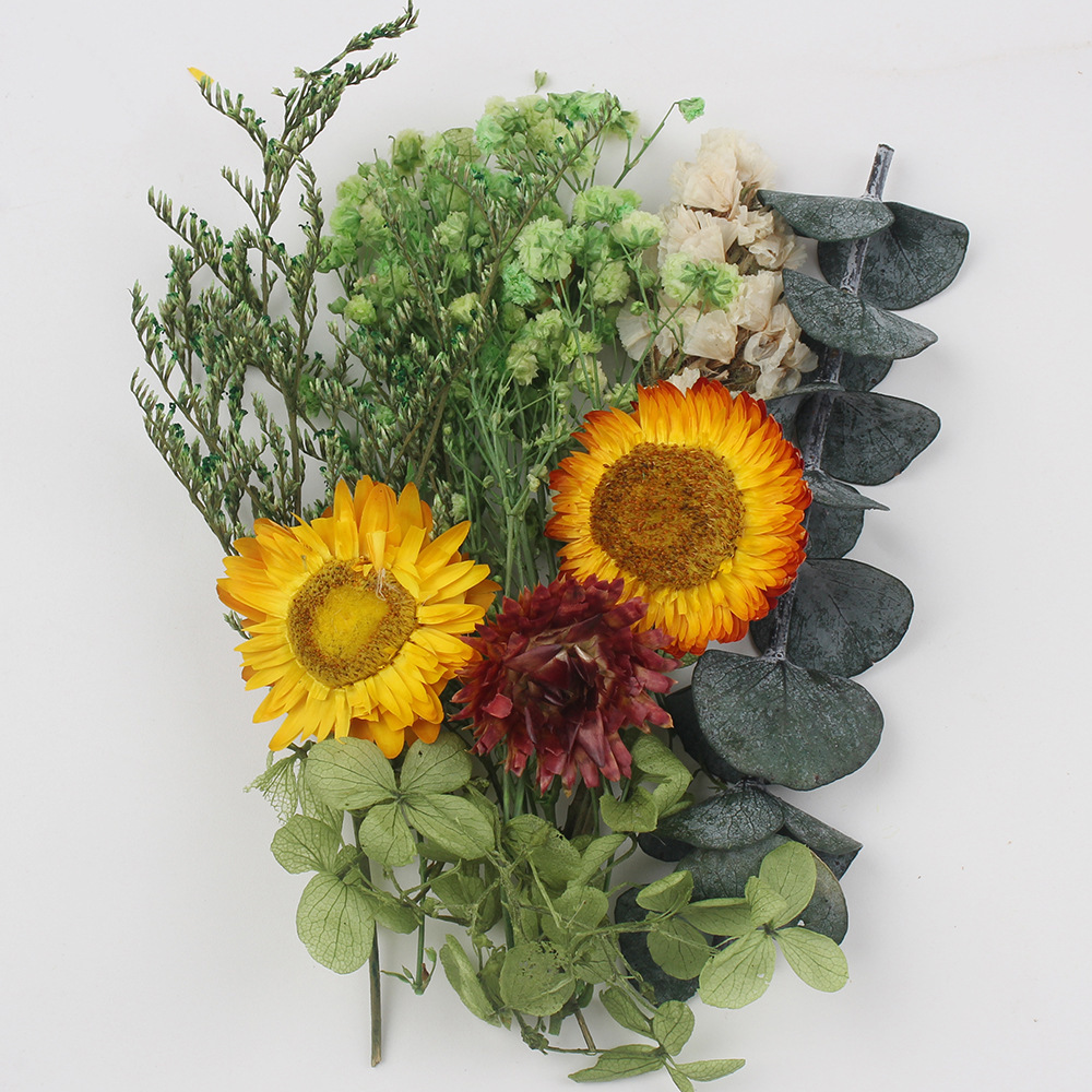 Flores secas preservadas hechas a mano, marco de fotos DIY, decoración mixta, materiales de aromaterapia, flores naturales, ramo de regalo para boda, San Valentín