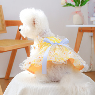 PETCIRCLE����Ȧ��С��Ȯ�·�������Ʒ���ﹷ�·������r�յ���ȹ