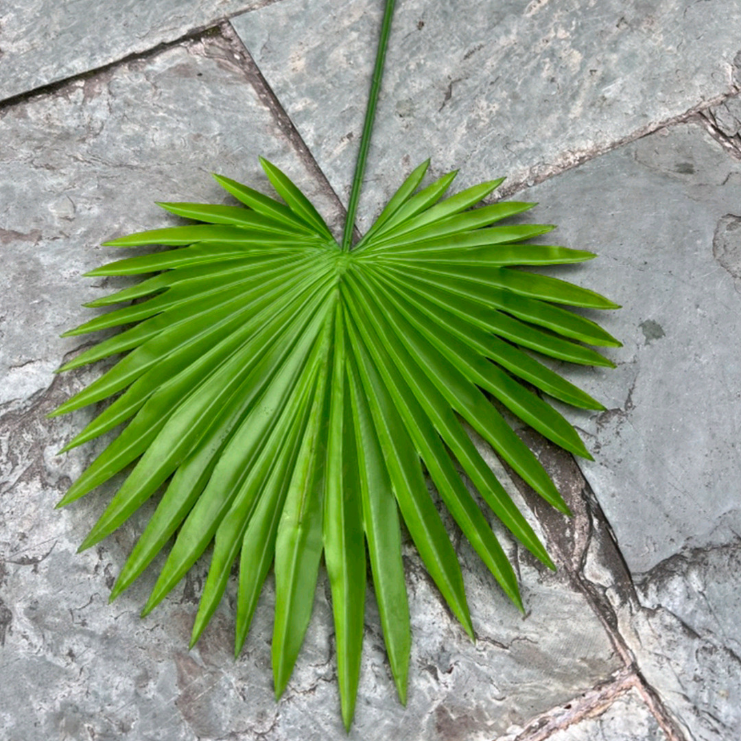 微信图片_20240122195357_副本