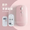 Fuchsia battery, mouse
