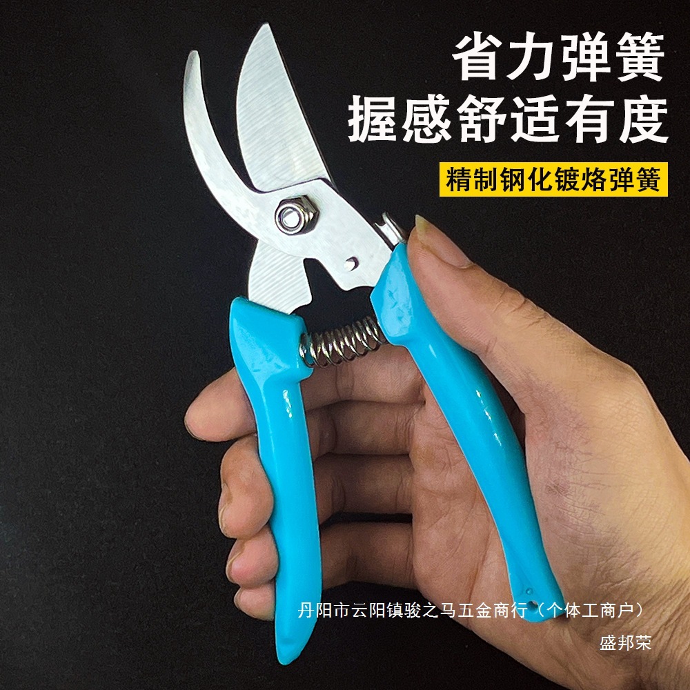 摘果剪修枝剪园林工具剪子多功能花剪园艺剪刀修枝园林不锈钢