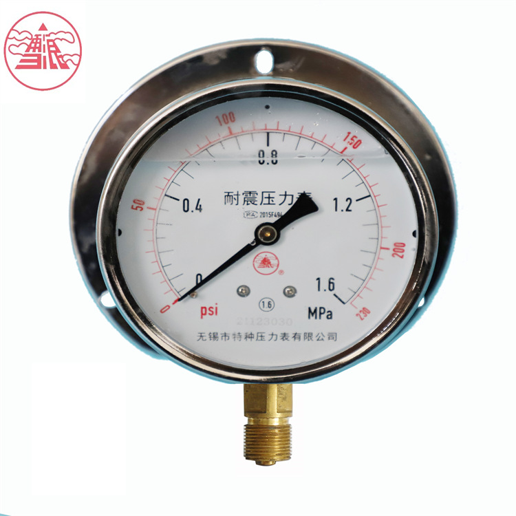 耐震压力表YN-100不锈钢真空表雪浪仪器仪表无锡特种厂