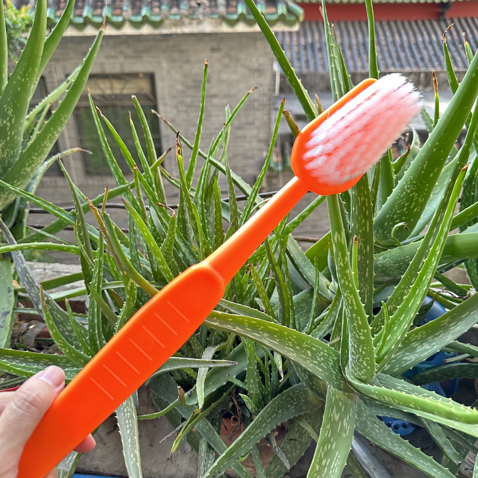 Forma de cepillo de dientes grande BATHBRUSH baño frotar la espalda cepillo de dientes grande colgando baño limpieza cepillo suave