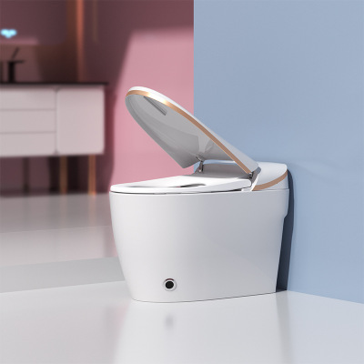 馬桶 壹件代發Intelligent Closestool Toilet H031 智能馬桶