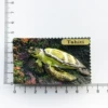 Stamp turtle