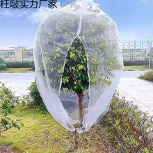 ������B���x�W�֗�÷�{ݮ����ɏ�F�Ҙ��_�����x�W�ַ��x�Î�