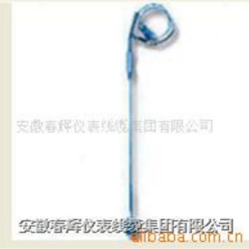 炉鐾热电偶WRNK-191