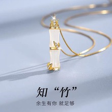 一件代发简约气质竹节项链女春夏轻奢高级感节节高升吊坠锁骨链潮