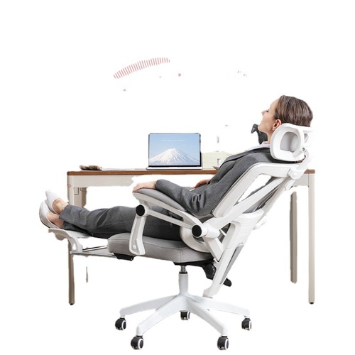 W1TR人体工学椅电脑椅家用久坐可躺办公座椅书房电竞椅子