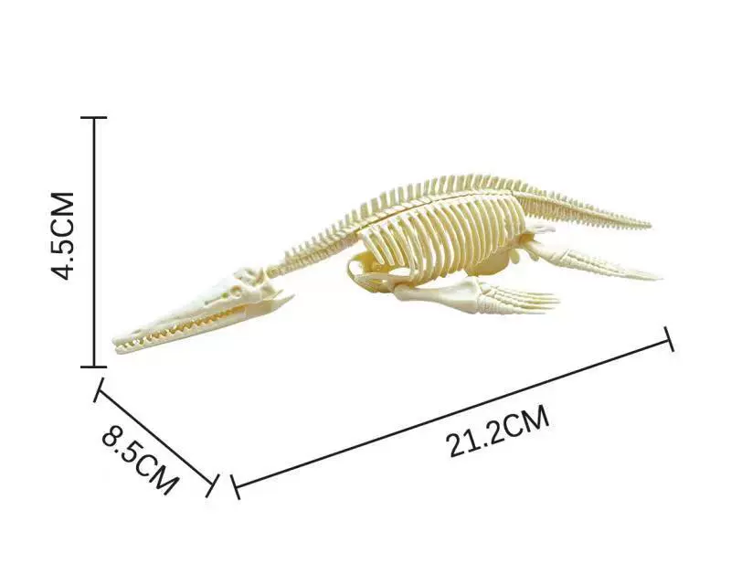 Динозавр, скелет, археологический конструктор, 21 см, ископаемый, Tyrannosaurus Rex