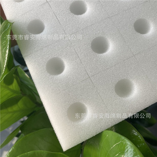 36��ˮ�����纣�d�K����ʮ�ַNֲ���d��ˮ����o������N�˶�ֲ��