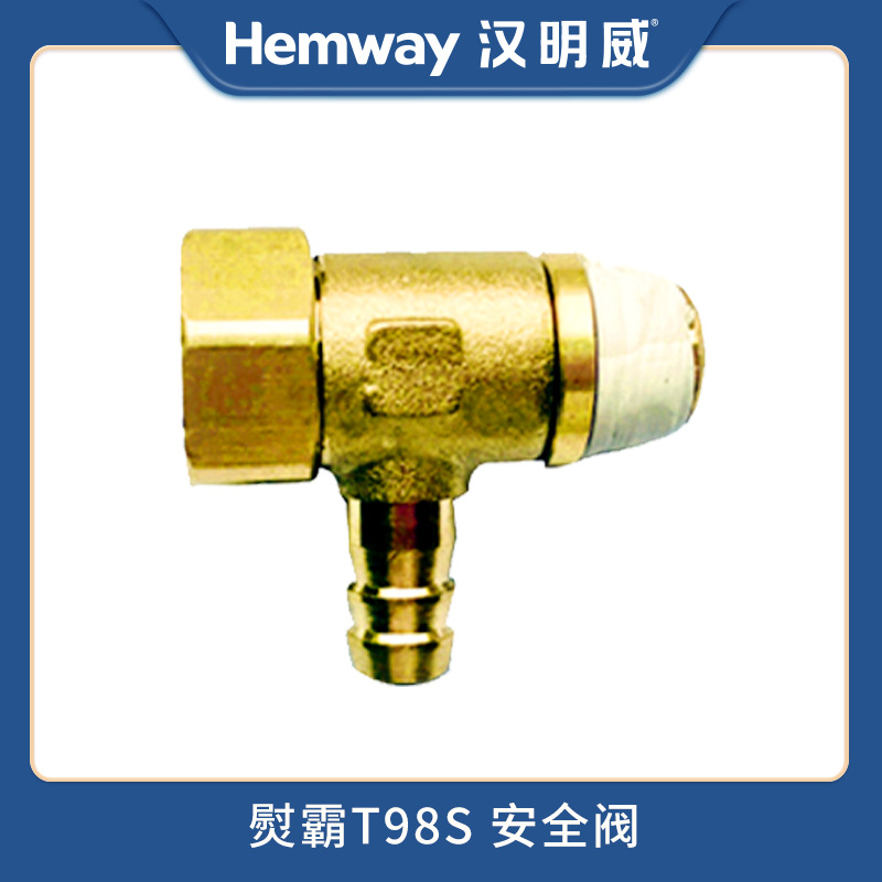 汉明威熨霸厂家直销T98S熨烫一体机 服装蒸汽锅炉 安全阀配件