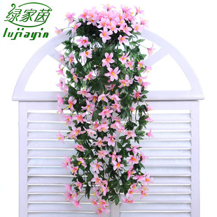 ���滨�ٗl�ٻ��ڒ���@�҃ȵ�픻�c�bS�����a����ٺ����_�m