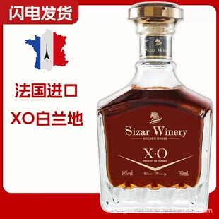�����M�����40��XO���m��OEM�N�ƶ��� �ư��{�ƻ����������l���
