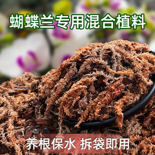 �����m���ֲ���m���Nֲ�M��ëë�xˮ̦�w���ɘ�Ƥ�m�ƠI�B��