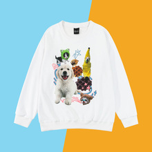 èӡtԲCrew neck Printed SweatShirt