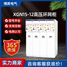 XGN15-12�߉��h�W��XGN2ؓ���_�PXGN17�_�P��늙�SF6�M����������