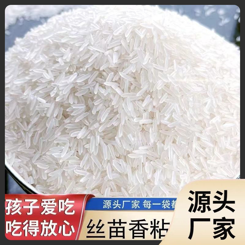 50斤长粒丝苗米24年新米晚籼米长粒香米无添加大袋原装一级大米|undefined