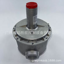 �����FMF31165,DN50ȼ��p���y������ƊWFiorentini