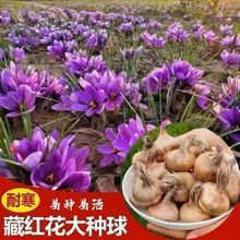 ���ڲؼt���N�򷬼t��ș�û��ܷN�����t����������Ի��N������N