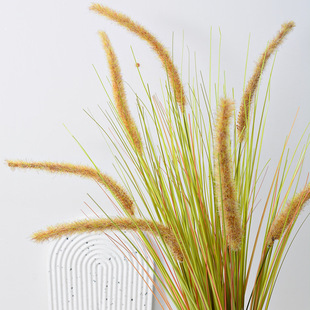 ���W����ֲ����������[���Ѳ� ɭϵ��Y���÷���ٻ���֧��β��