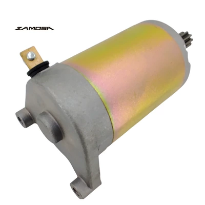 Starter and accessories DR200SE DF125 DF200