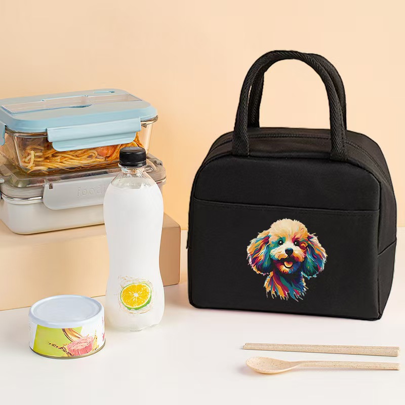 Bolsa aislante impresa transfronteriza Bolsa de almuerzo de trabajo Bolsa de hielo de papel de aluminio portátil Bolsa de almacenamiento de almuerzo para estudiantes Bolsa bento de picnic