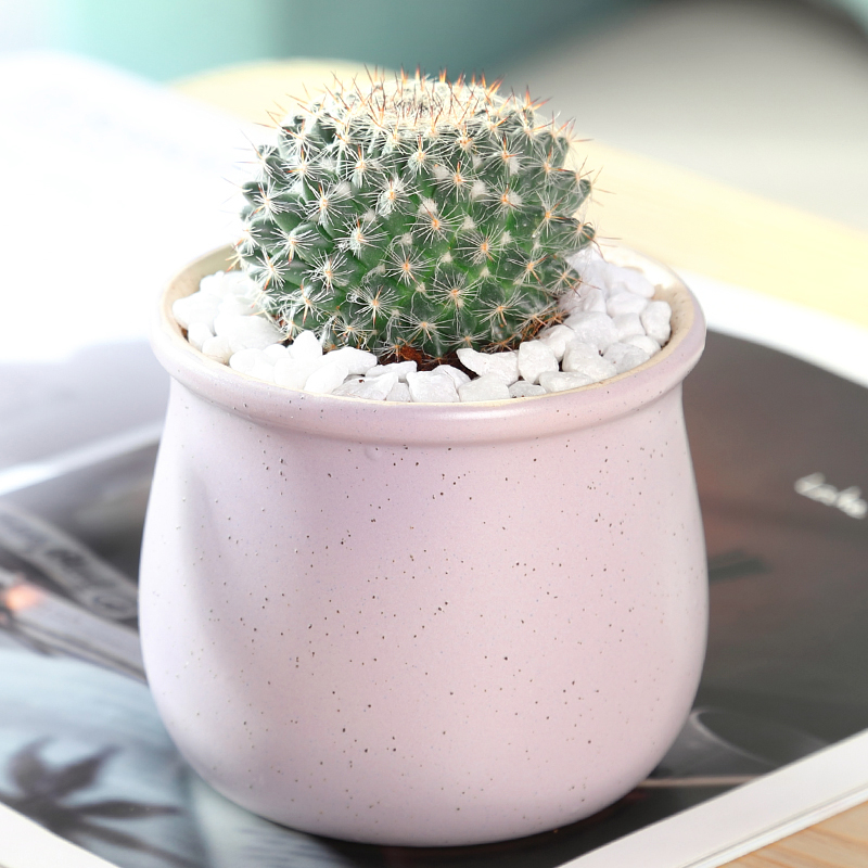 중형 옥병지름 4.5~5.5cm(핑크마카 세라믹 세면대)