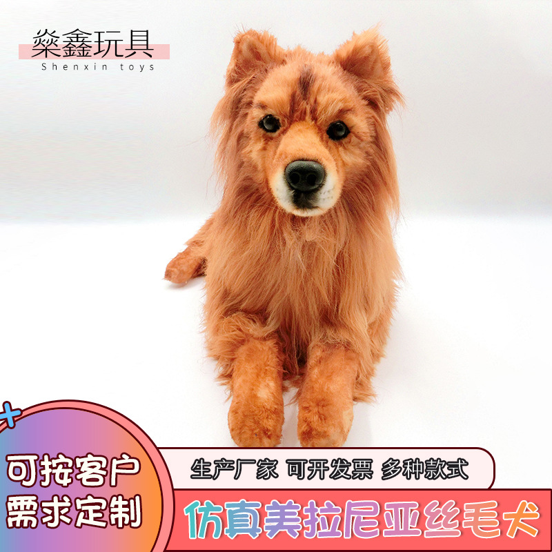 仿真毛绒狗狗 毛绒玩具饰品仿真美拉尼亚丝毛犬 毛绒公仔玩具狗狗