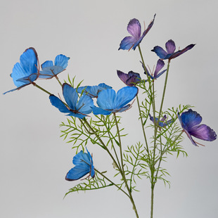 ���������6�^���� ��Y��ˇĪ�λ��@�bٻ���c��3D��ӡ�ٺ���